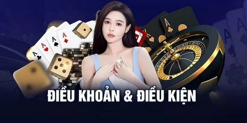 Giới thiệu đôi nét về điều khoản điều kiện cần nắm rõ